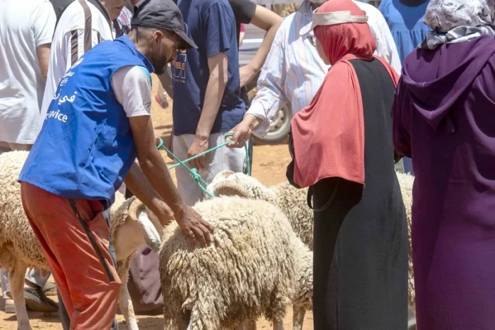 المغرب، 